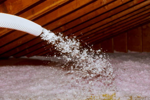 Best Eco-Friendly Insulation in Clarence Center, NY
