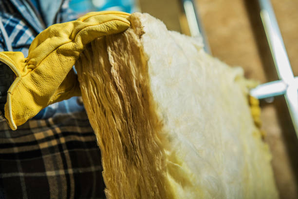 Best Specialized Insulation Services in Clarence Center, NY