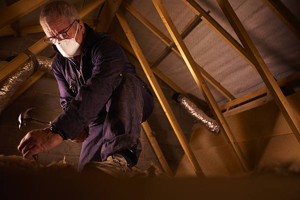 Best DIY Insulation Kits and Guidance in Clarence Center, NY
