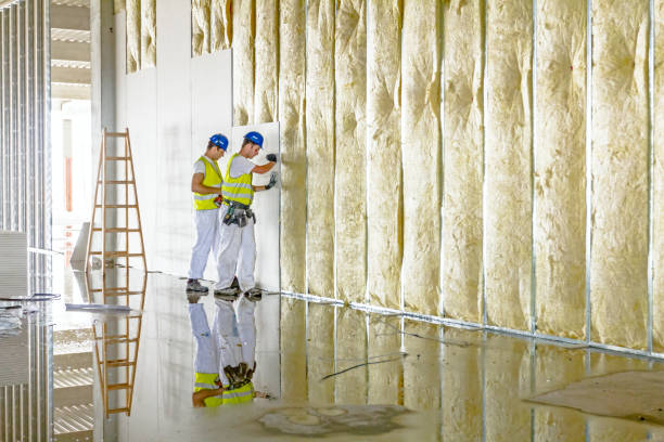 Best Residential Insulation in Clarence Center, NY